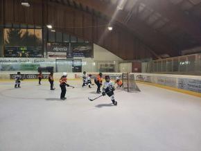 U10 Eisfix vs. HC Meran beim Freundschaftsspiel